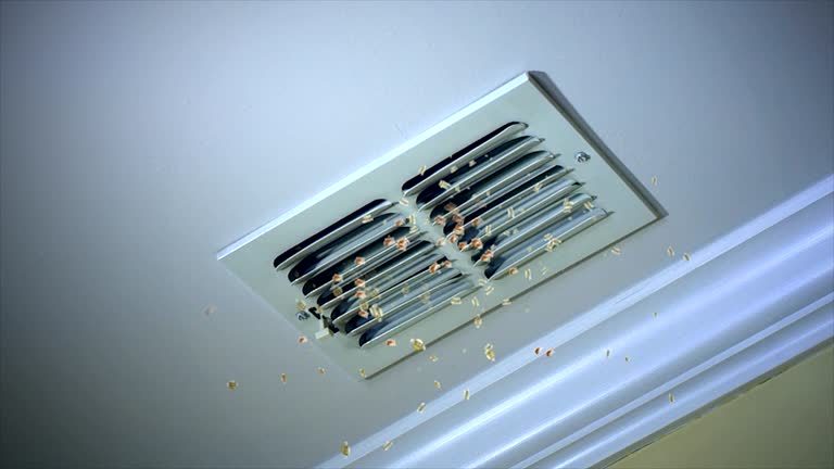 Best Air Duct Cleaning Near Me  in Southworth, WA