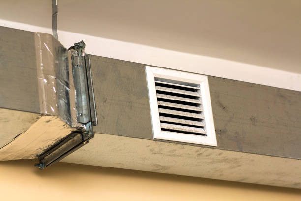 Best Air Duct Mold Removal  in Southworth, WA